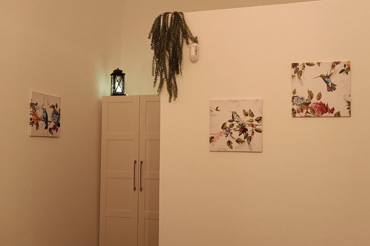 Bastia  Le Terrazze Bed & Breakfast エクステリア 写真